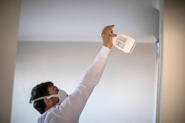 Best Best Mold Removal Companies  in Borger, TX