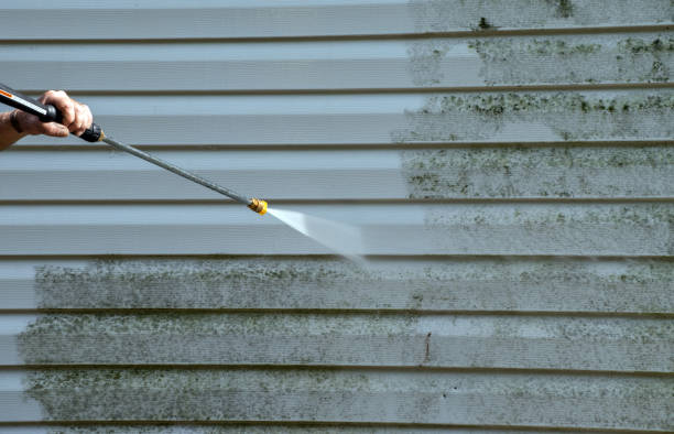 Best Mold Remediation  in Borger, TX