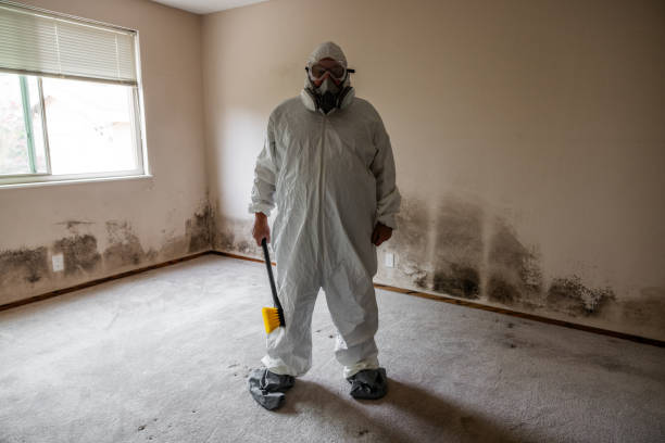 Best Residential Mold Removal  in Borger, TX