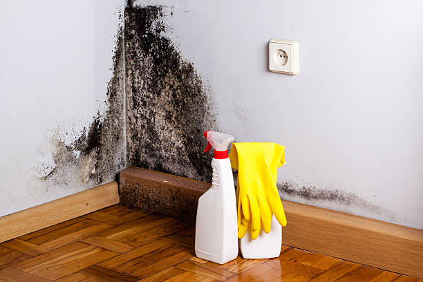 Water Damage Restoration in Borger, TX